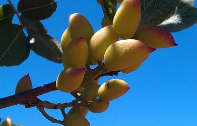 WhatsApp Image 2022-06-14 at 4.06.43 PM